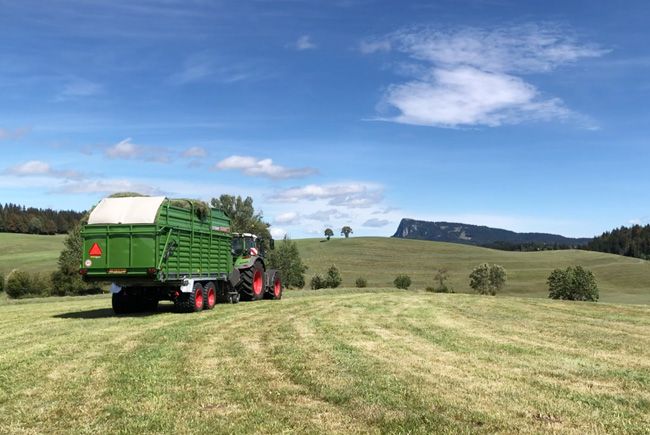 Ramassage du foin en tracteur